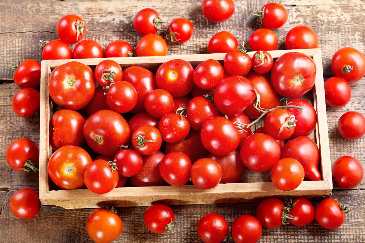 Las manchas en los tomates pueden indicar falta de calcio