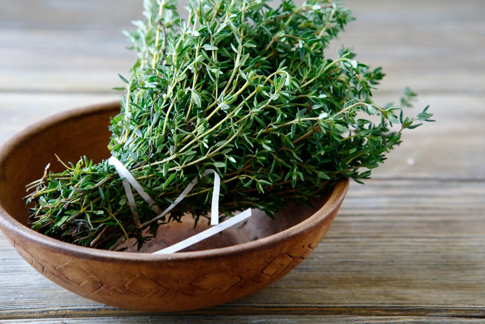 Técnicas para conservar hierbas aromáticas más allá del verano