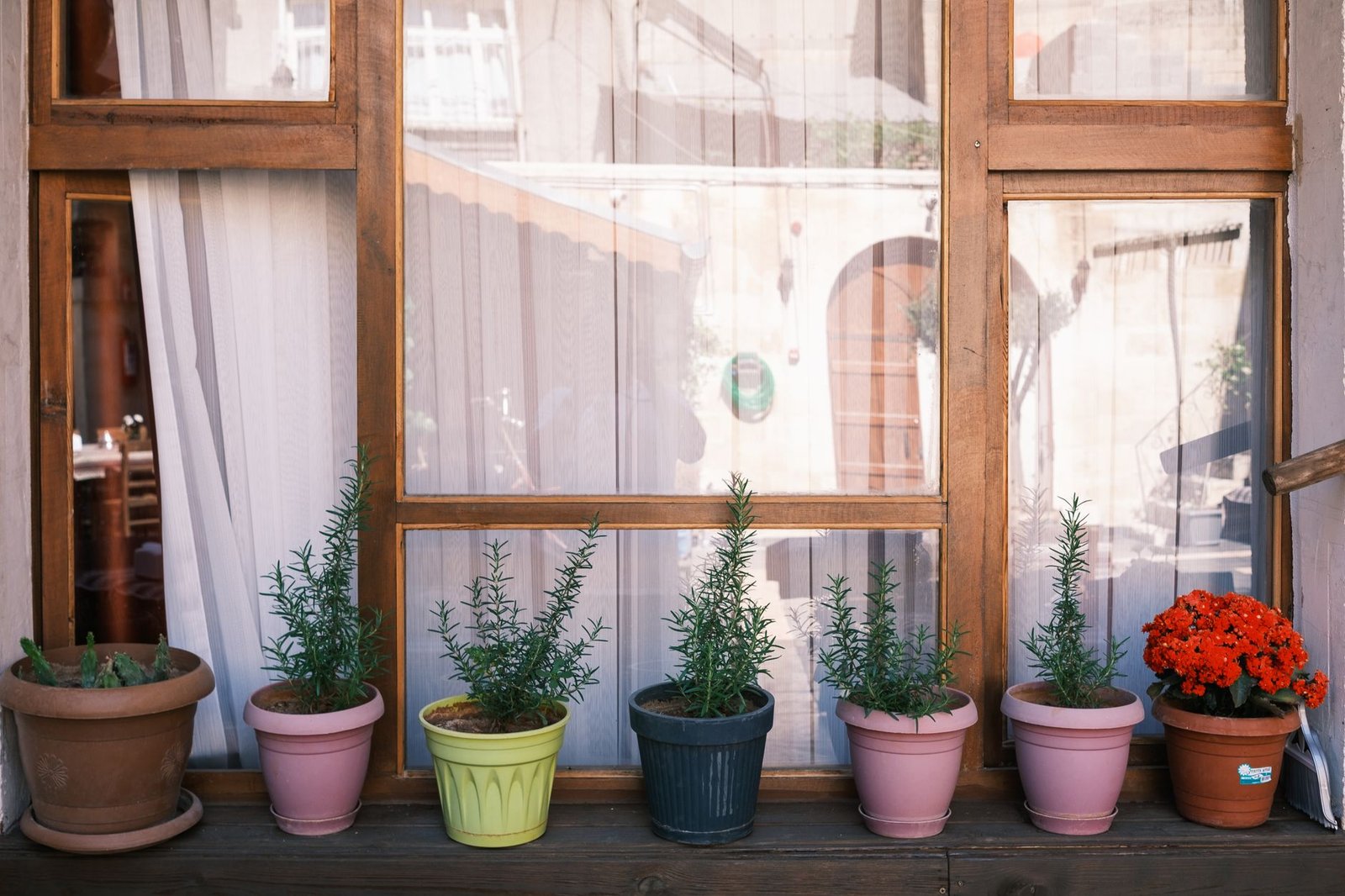Macetas con plantas en una terraza
