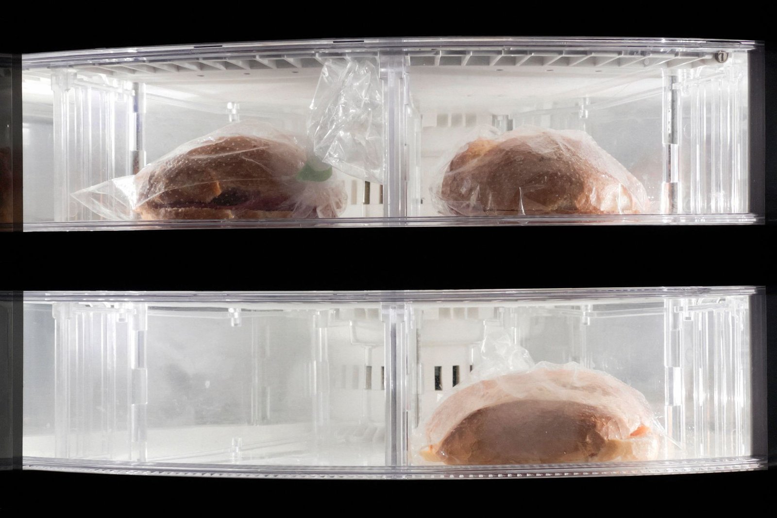 Alimentos organizados en el congelador