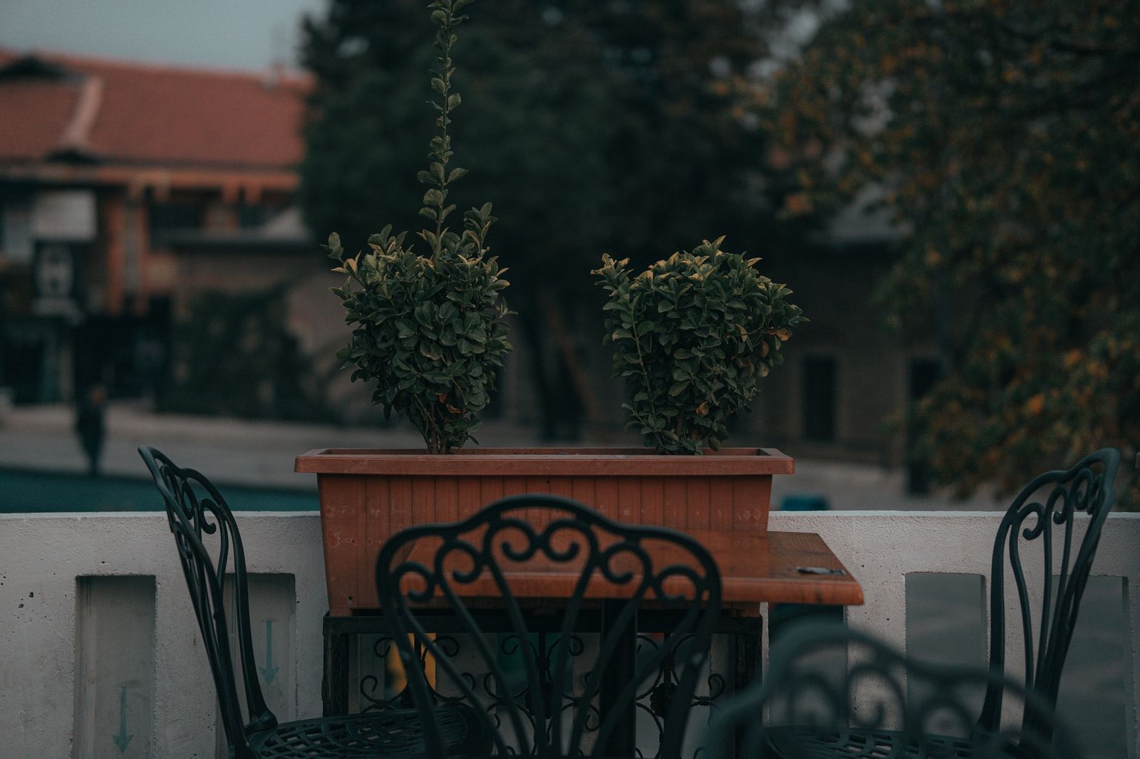 Terraza pequeña con plantas y mobiliario