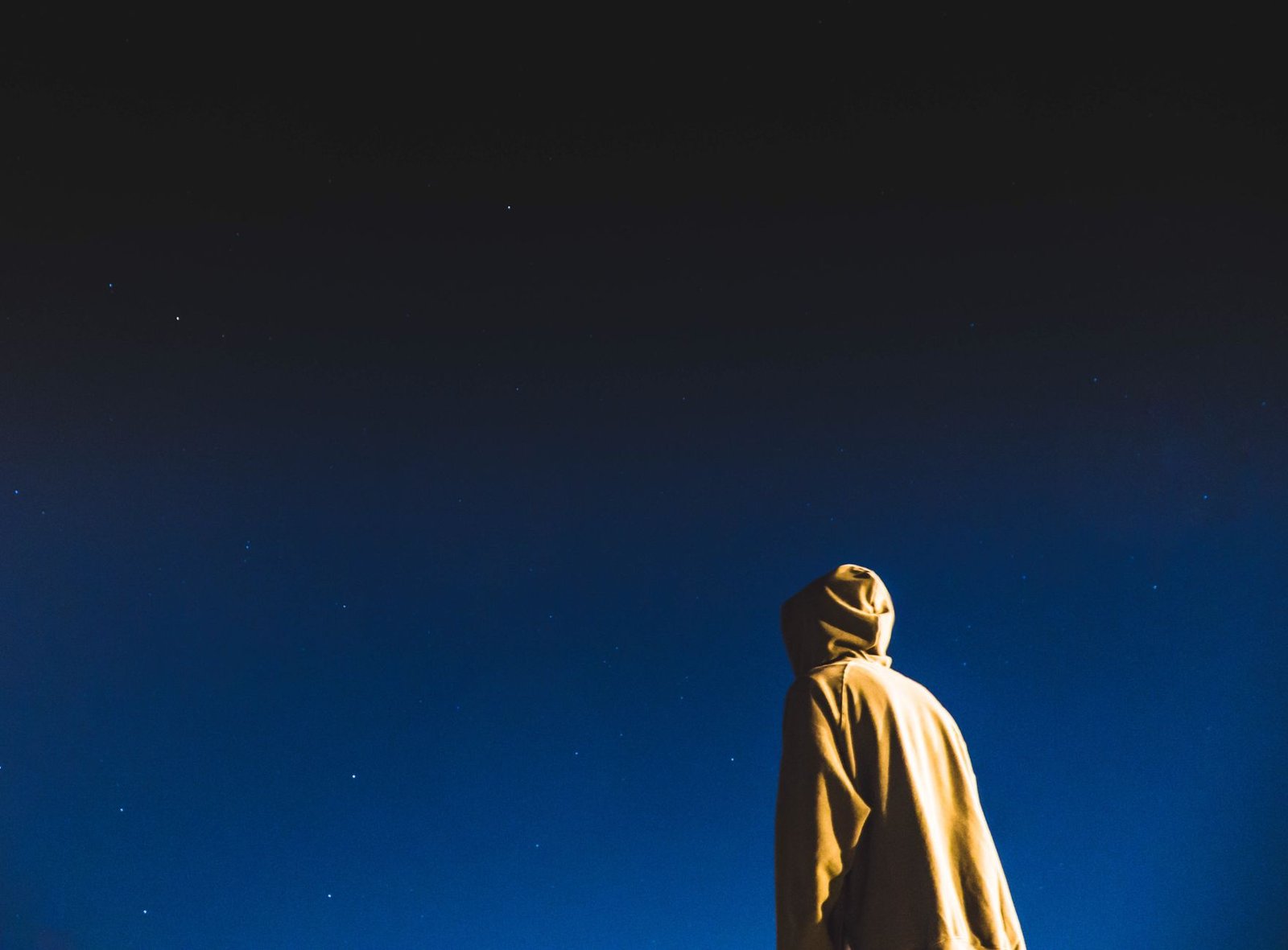 Personas mirando el cielo estrellado en el campo durante una noche despejada