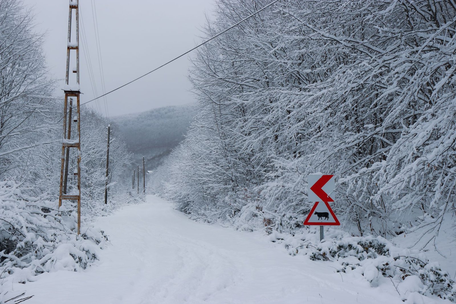 Carretera nevada con señal de advertencia durante un episodio de frío invernal