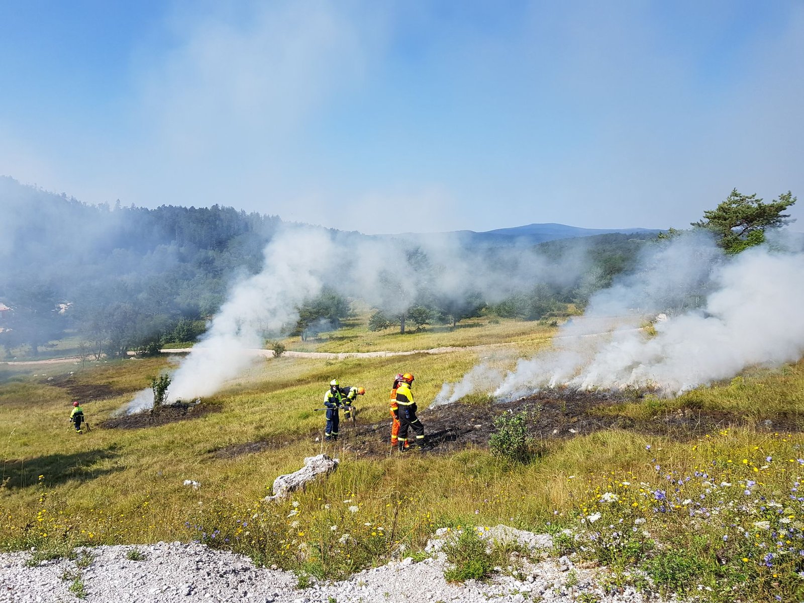 Bomberos forestales trabajando junto a una columna de humo en un pinar